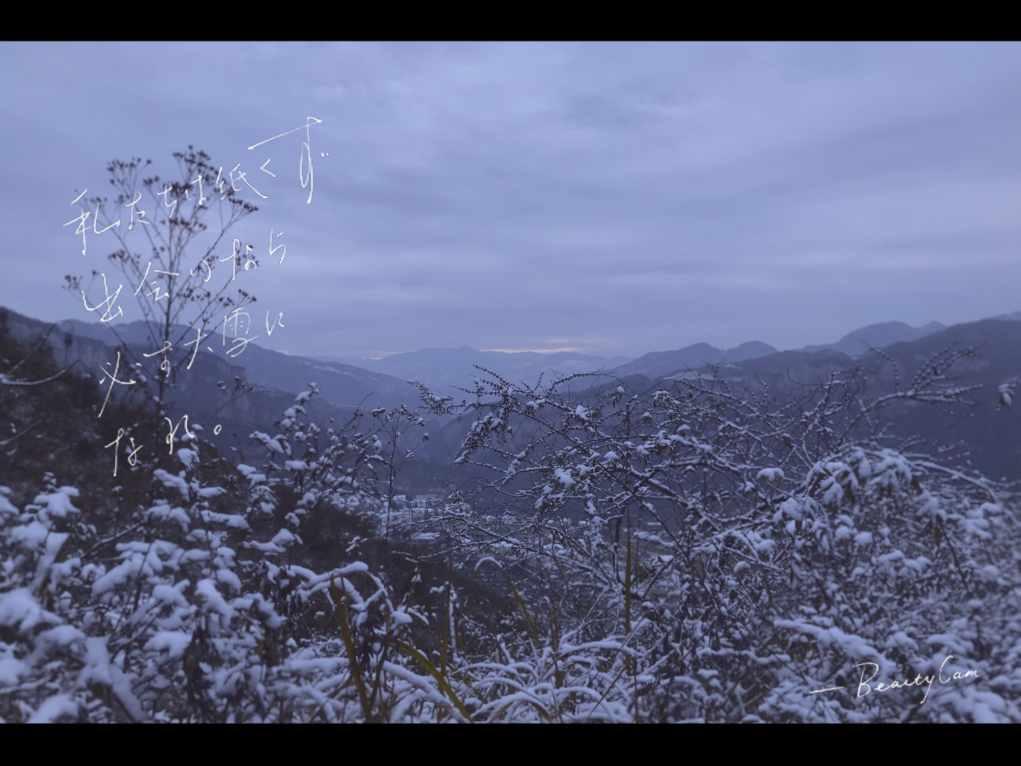 红色系